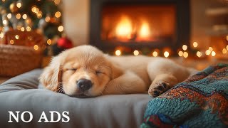 12 HOURS of Dog Calming Music🦮💖Dog Music Relax🐶🎵Anti Separation Anxiety Relief Music⭐Healing Music [upl. by Annovahs]