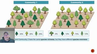Species Diversity Shannon Index [upl. by Navarro858]