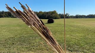 Poverty Point World Heritage Site 2024 Vicksburg day trip Mound A [upl. by Neville]