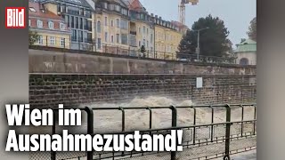 Hochwasser in Europa Die Flutwelle hat Wien erreicht [upl. by Hildegarde987]