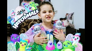 HATCHING HATCHIMALS COLLEGGTIBLES SURPRISE EGGS  SEASON 2  WHO WILL YOU HATCH [upl. by Crean]