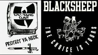 Protect The Choice Wu Tang Clan X Black Sheep Mashup [upl. by Euqnimod28]