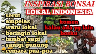 INSPIRASI BONSAI LOKAL INDONESIA [upl. by Mariejeanne]