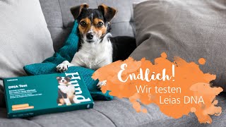 Leia wird getestet 🧬 Große Überraschung beim DNATest 😱 [upl. by Swift]