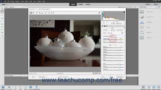 Photoshop Elements 2020 Tutorial Applying and Saving Custom Camera Settings Adobe Training [upl. by Ecertak]