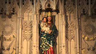 Dominican Chants Salve Regina [upl. by Llenrahs]