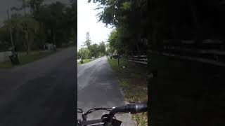 Ebike ride chickens on the side of the road ebike asmr pov [upl. by Grenier]