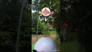 EggSpress 🥚🐣 Rollercoaster  PleasurewoodPWH rollercoaster ride pov [upl. by Harding]