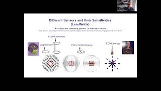 The measurement of EEG and MEG signals and their neuronal generators [upl. by Neufer]