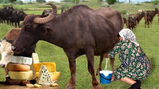 From Farm to Table Making Mozzarella Cheese from Fresh Buffalo Milk [upl. by Ruffin763]