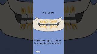 shedding of primary teeth eruption of permanent teeth  sequence and time  Question 2 [upl. by Rudy]