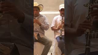 banda music musica shortvideo shorts oaxaca mexico [upl. by Ecydnarb]