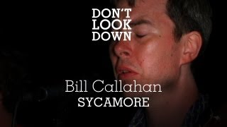 Bill Callahan  Sycamore  Dont Look Down [upl. by Starobin908]