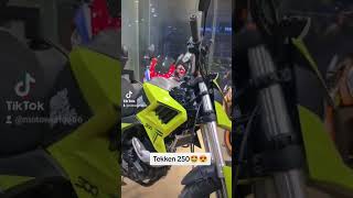 tekken kawasakininjalover motorcycle sportbikelover zx10r twowheeler sportsbikesociety [upl. by Pricilla818]