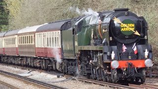 34046 “Braunton” hauling “The Golden Arrow” on its first railtour of 2023  040323 [upl. by Ahsenyt370]