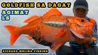 GOLDFISH SA DAGAT  EFFECTIVE ANG BAGONG AGIMAT LS 300G JIG [upl. by Weed]