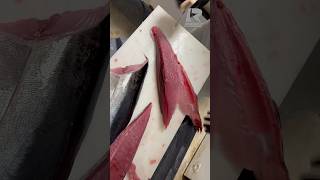 Blackfin Tuna will be showing up thick soon [upl. by Nitsoj]