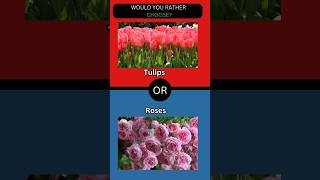 What would you rather choose [upl. by Jobey]