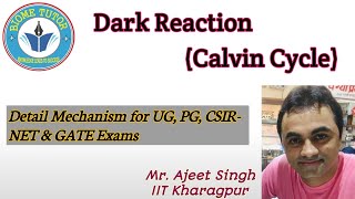 Calvin Cycle II Dark Reaction II Reductive Pentose Phosphate Pathway II C3 Cycle in Plant [upl. by Eleik]