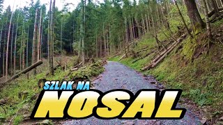 Szlak na NOSAL  Nosal Mountain Hiking Trail  Zakopane Poland 4k [upl. by Yokum]