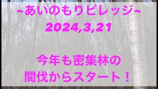 29 2024年度の開拓は密集林の間伐から！ [upl. by Eba]