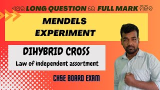 DIHYBRID CROSS OF MENDEL  MENDELS HYBRIDIZATION EXPERIMENT  LONG QUESTION  CHSE CLASS 12 [upl. by Eelyk]