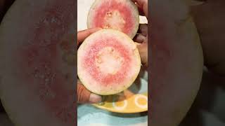 Seedless pink guava shortfeed fruitlover asmrtriggers shortviral asmrvideos shortviral asmr [upl. by Asp626]