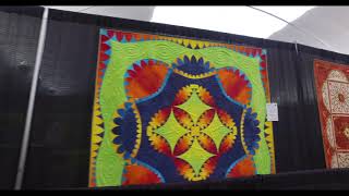 35 AQS Best of Show Quilts 1985  2019 at AQS QuiltWeek  Fall Paducah [upl. by Nahtan]