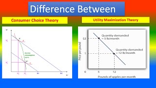 Difference Between Consumer Choice Theory and Utility Maximization Theory [upl. by Ahtnahc]