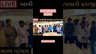 આજના બજારભાવ cotton farming ખેતી viralvideoકપાસભાવરાજકોટ યાટshort [upl. by Hgieloj20]