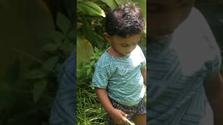 Our First Garden Vlog with toddler❤️ gardenvlog kerala gardeningwithkids keralavlog familyvlog [upl. by Nyleikcaj]