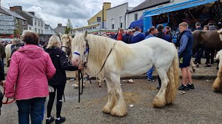 Cahermee Horse Fair Buttevant North Cork 2023 [upl. by Sajet890]