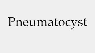 How to Pronounce Pneumatocyst [upl. by Onivag]