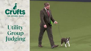 Utility Group Judging  Crufts 2024 [upl. by Attayek]