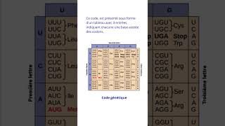 Code génétique et ses caractéristiques [upl. by Ahsikram]