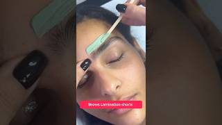 Eyebrows Lamination shorts 11 juliedesigner beauty eyebrow youtubeshorts [upl. by Annahsit]