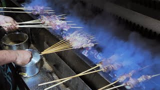 Xinjiang Lamb Skewers ｜ China Street Food [upl. by Anoirtac]