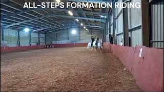 Tewkesbury EC 191024 AllSteps Formation Riding clinic [upl. by Onailil]