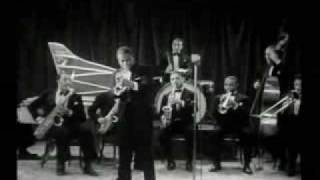 Louis Armstrong I Cover The Waterfront [upl. by Hepzi421]