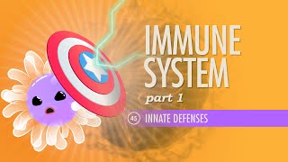 Immune System Part 1 Crash Course Anatomy amp Physiology 45 [upl. by Travus986]