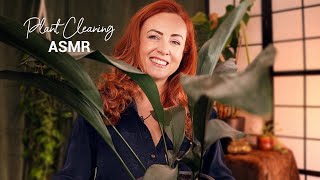 ASMR Plant Cleaning 🪴 Relaxing Pottering amp Chatting [upl. by Nylehtak382]