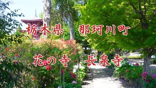 【栃木県那珂川町】花の寺 長泉寺 [upl. by Doig]