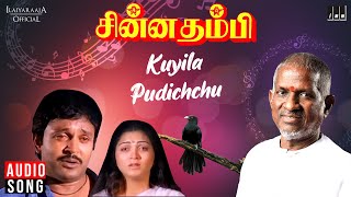 Kuyila Pudichchu  Chinna Thambi Movie  Tamil Song  Ilaiyaraaja  SPB  Prabhu  Khushbu [upl. by Feinberg793]