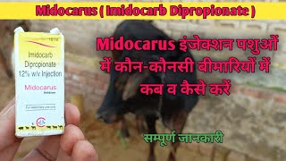 MidocarusImidocarb Dipropionate Injection  Tretment amp Control Disease in CattleHorseSheep ampDogs [upl. by Kondon667]