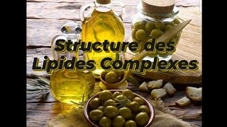 STRUCTURE DES LIPIDES COMPLEXES [upl. by Nylecsoj]