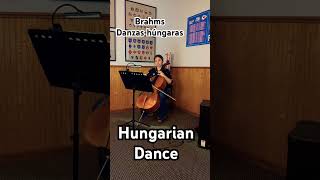 J Brahms Hungarian dance [upl. by Leibman678]