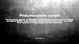 Medical vocabulary What does Pneumocystis carinii mean [upl. by Ot]