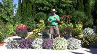 Plants and Flowers 2013 Standout Performers  Part 3 [upl. by Stephana]