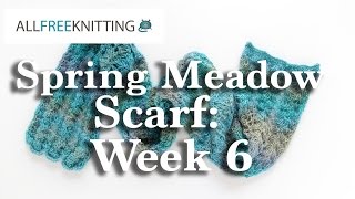 Knit Along Spring Meadow Scarf Week 6 [upl. by Jarad]