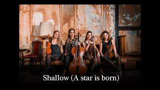 Shallow A star is born  Pandora Quartet cover [upl. by Annua]